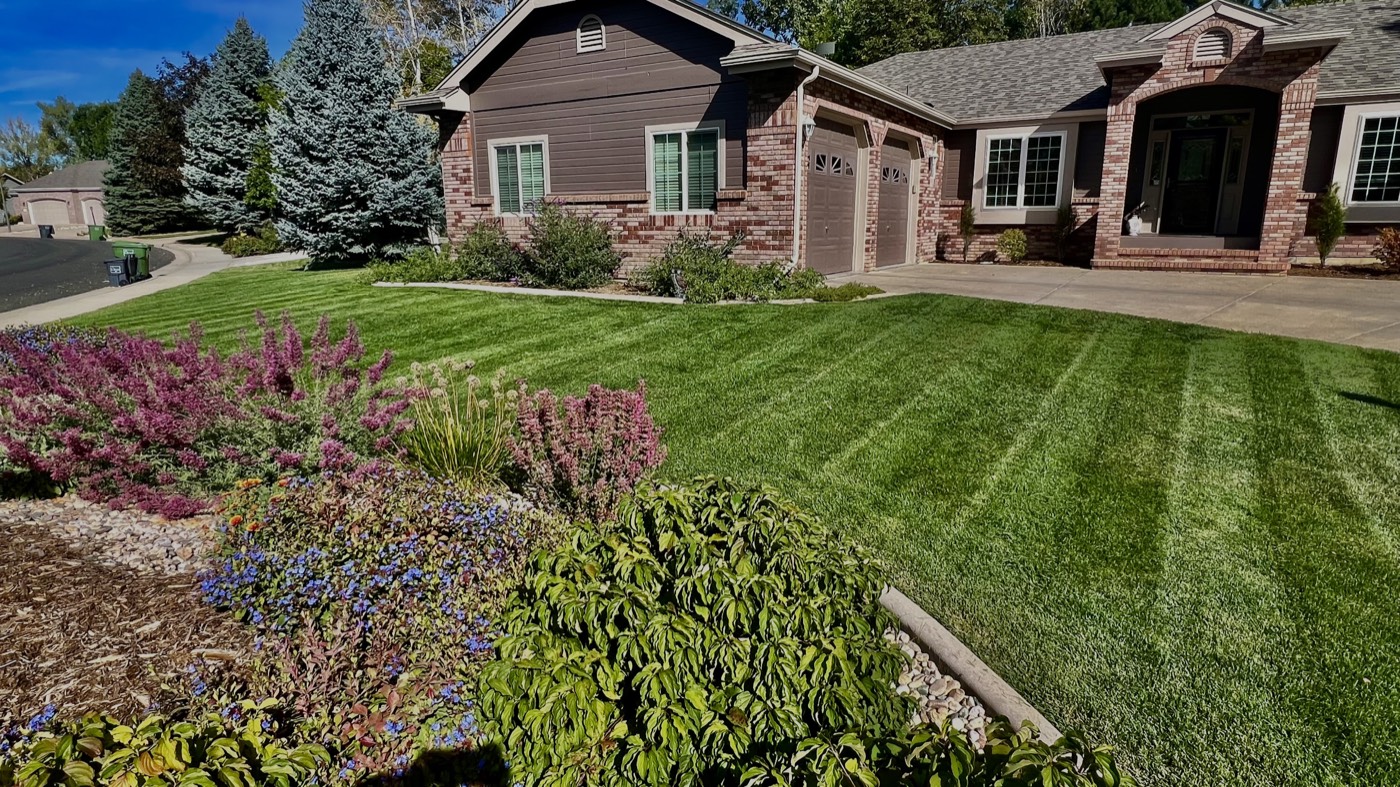 Striped front lawn and flower bed in front of a brick home