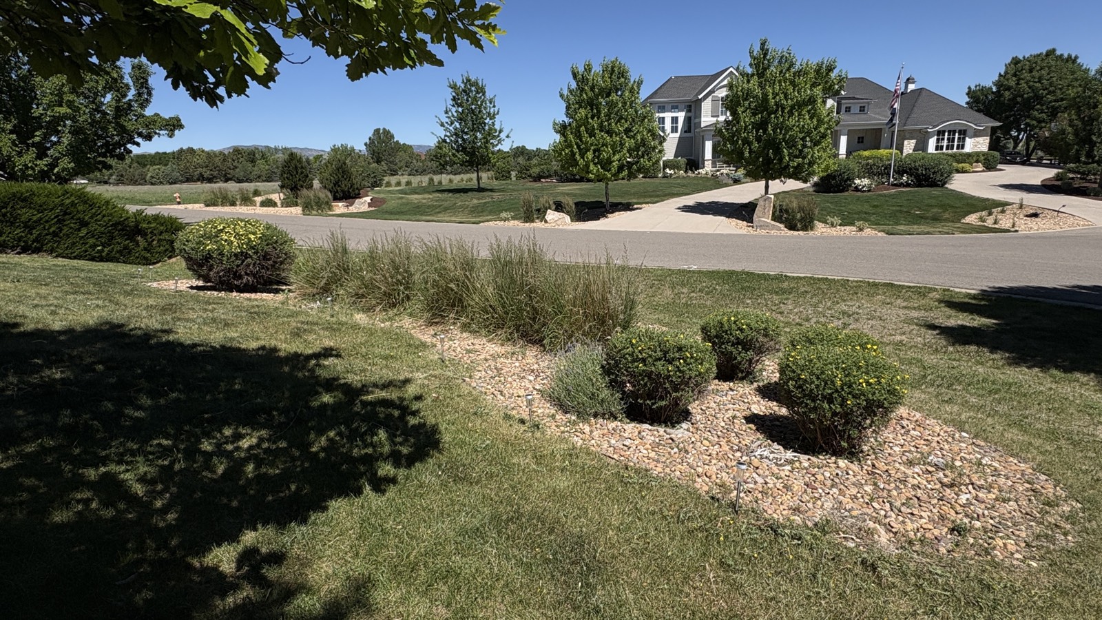 Maintained rock bed and shrubs along a neighborhood street