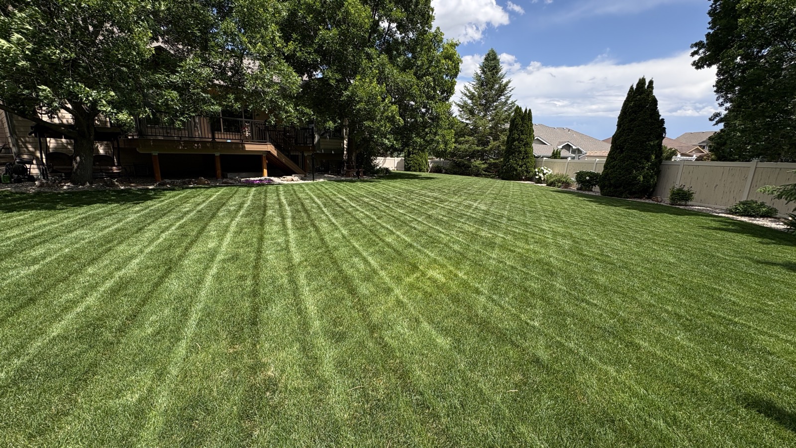 Freshly mowed backyard lawn with clean mowing stripes