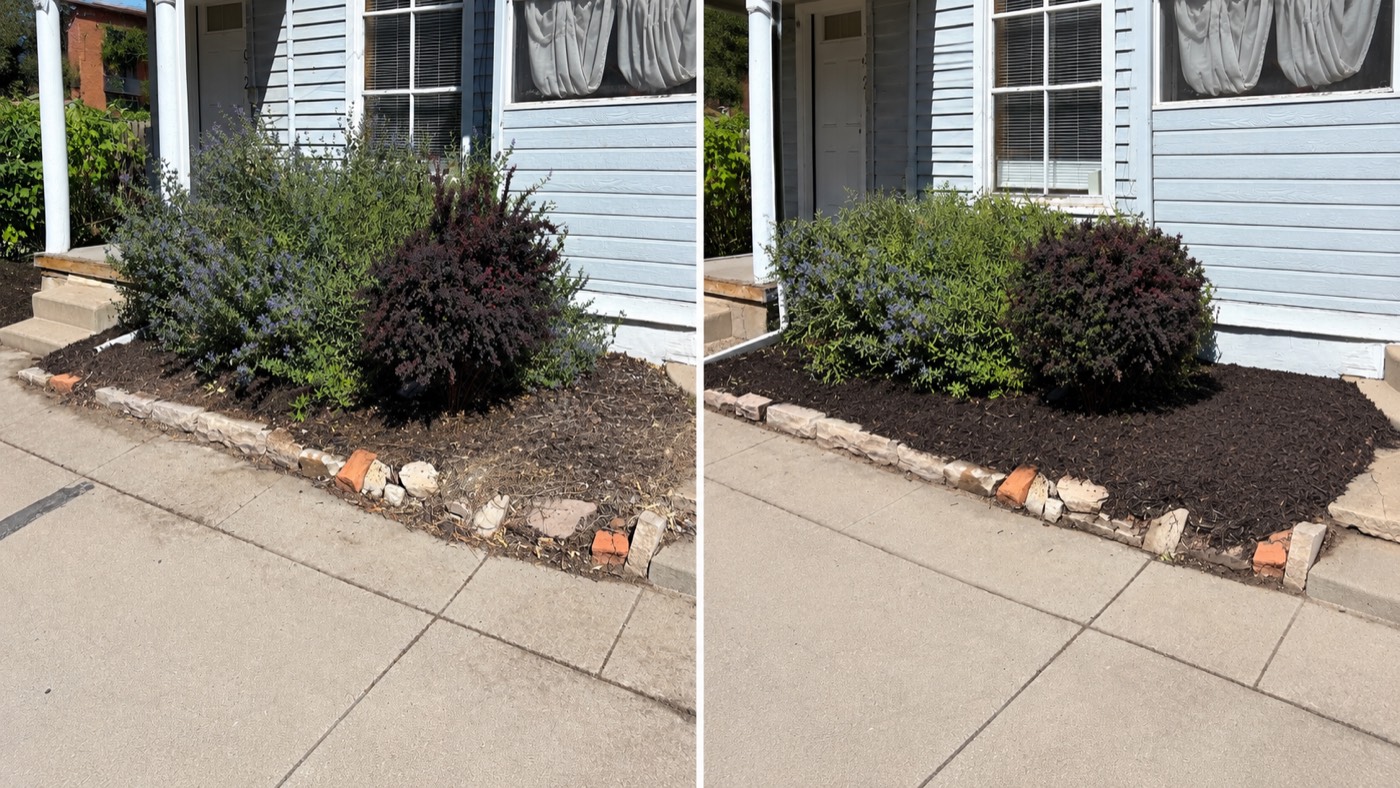 Before and after: front mulch bed refreshed with fresh dark mulch and tidied shrubs