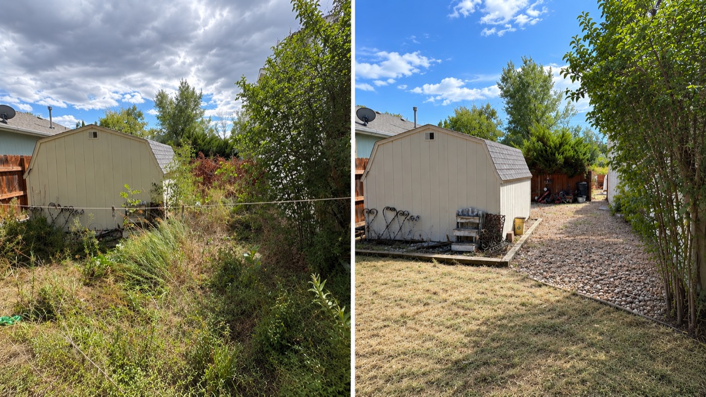 Before and after: overgrown backyard cleared to lawn and a gravel path