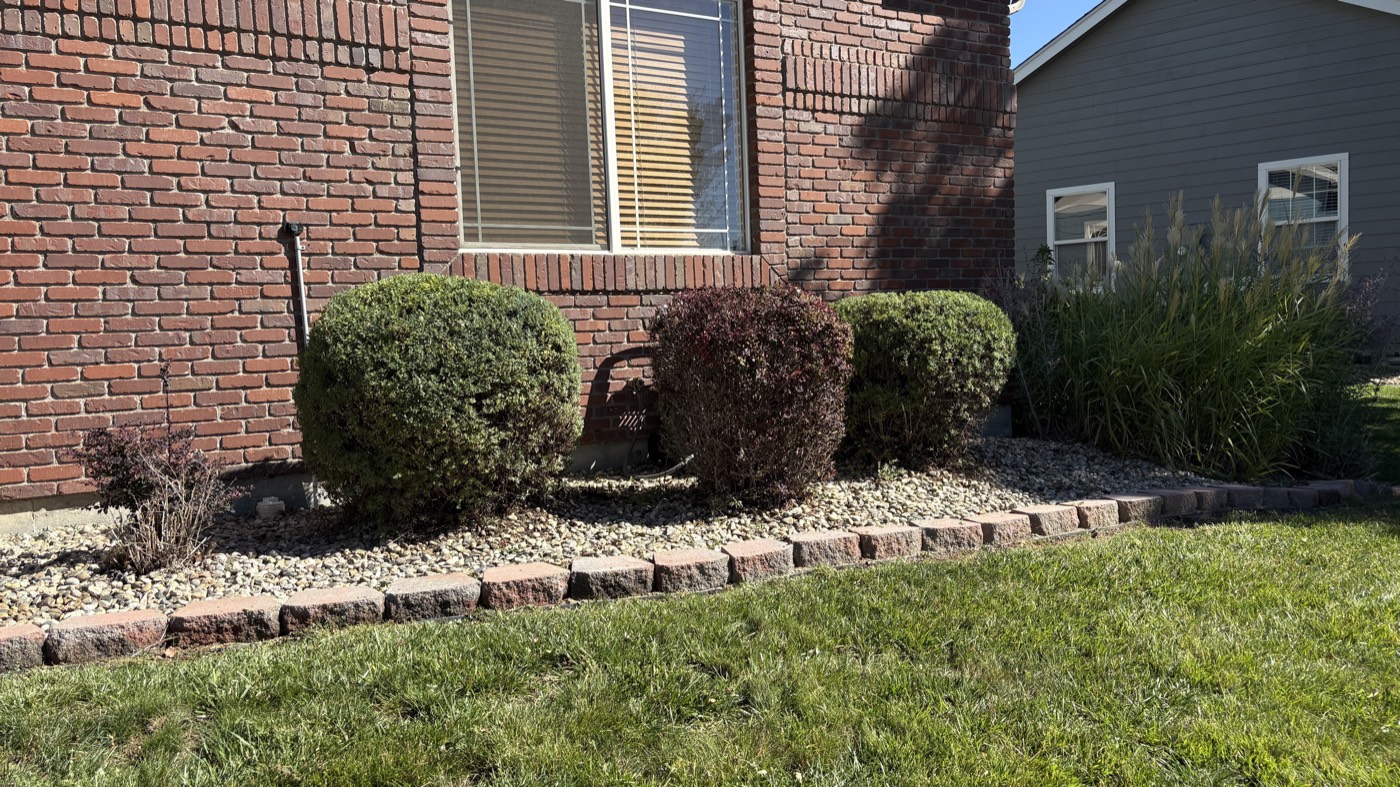 Trimmed round shrubs in a river-rock bed with a paver border